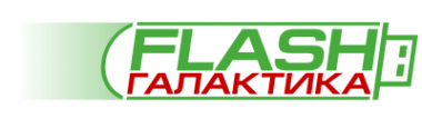 Логотип компании FlashГалактика